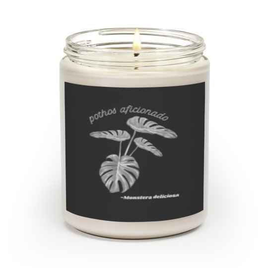 Discover Pathos Aficionado Fan Monstera Deliciosa Houseplant Love Scented Candles