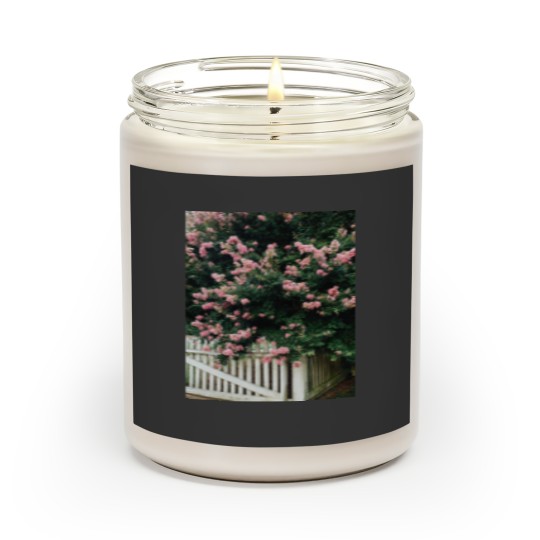 Discover Colonial Williamsburg Crepe Myrtle Graphic Scented Candles