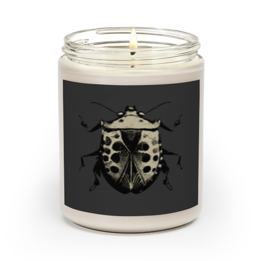 Discover Bug Stink Bug Insect Art Scented Candles