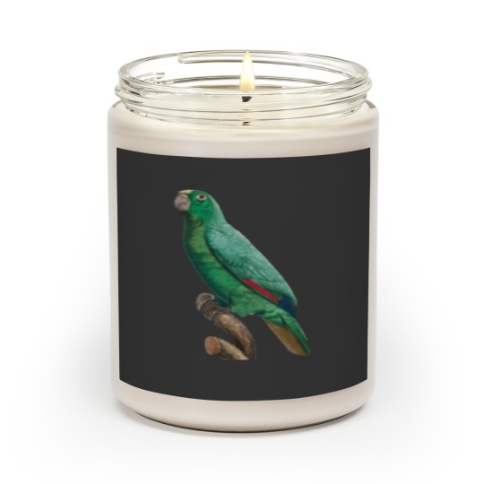 Discover Cute Bird 2 jimmy buffett to p sellin g widodo ganteng transparent Scented Candles