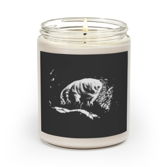 Discover Tardigrade Scented Candles