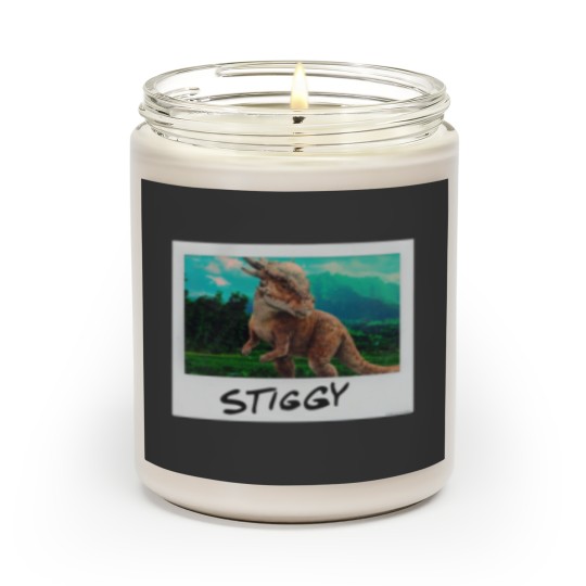 Discover stiggy instant photo Scented Candles