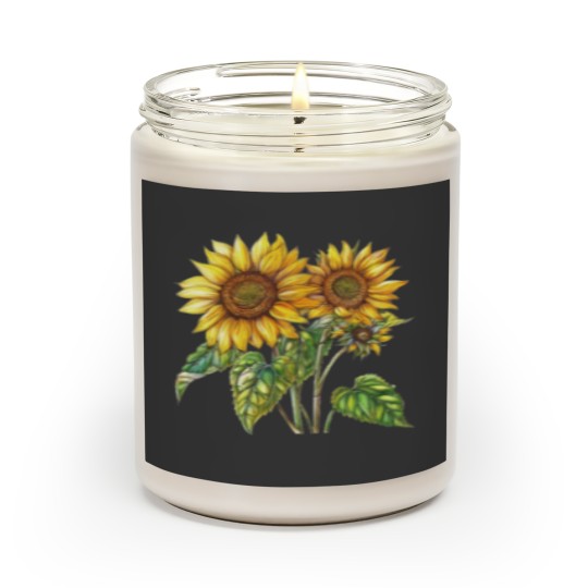 Discover sunflowers Scented Candles