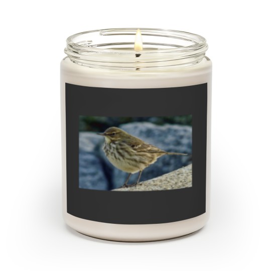Discover The Finnmarken at Dusk in Tromso Scented Candles