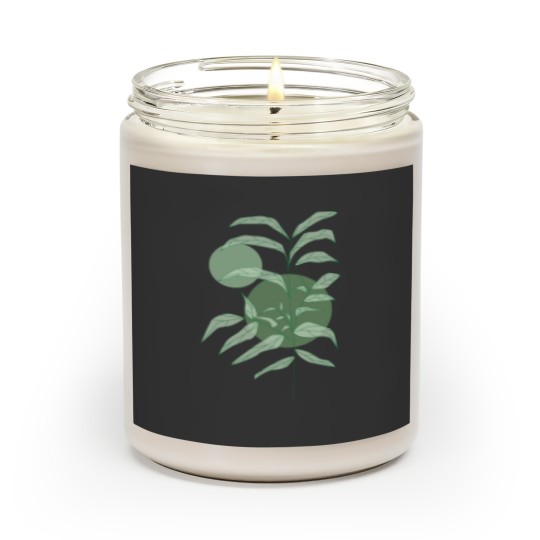 Discover Reeds in the Breeze Active Scented Candles