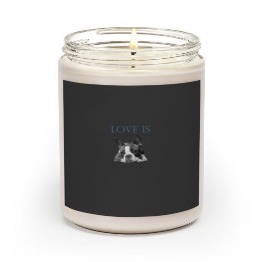 Discover Love Is Boston Terrier Bostie Scented Candles