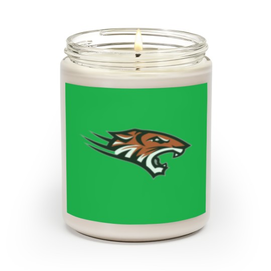 Discover Towson Tigers Scented Candles