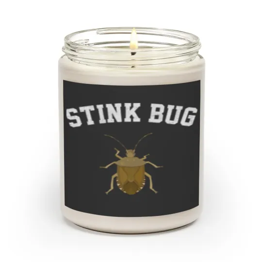 Discover stink bug, Entomology stink bug Scented Candles