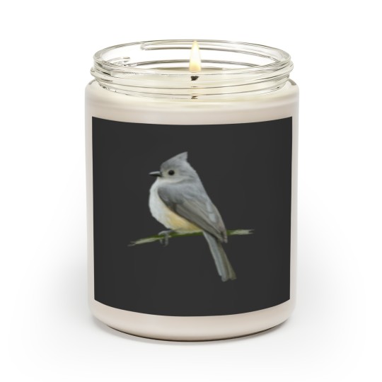 Discover cute bird Scented Candles