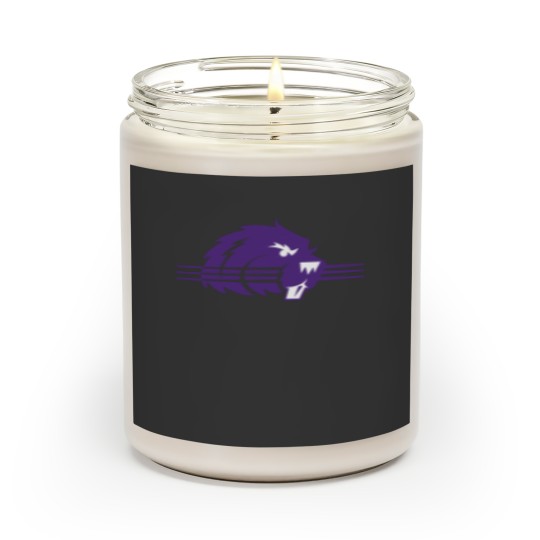 Discover College of Bluffton Beavers Athletic Scented Candles