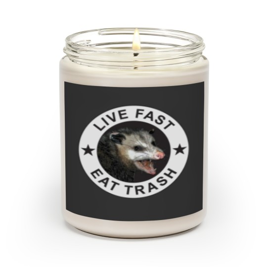 Discover Live Fast Eat Trash Scented Candles