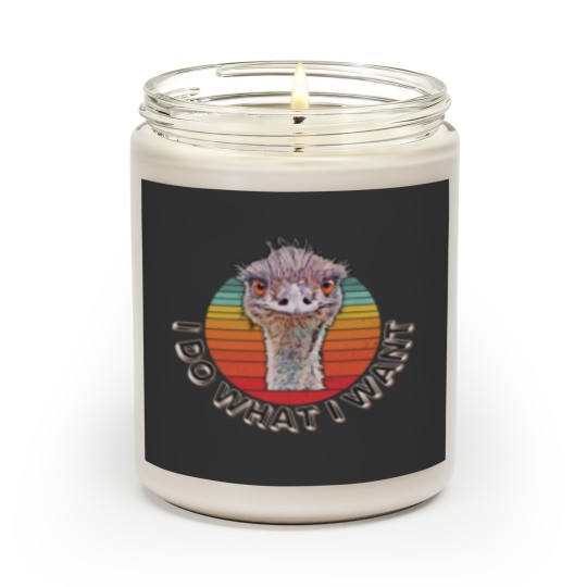 Discover Emmanuel the Emu, Emmanuel Don't Do It Scented Candles
