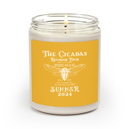 Discover Cicada Concert Tour 2024 Scented Candles