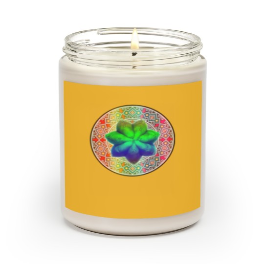 Discover San Pedro Entheogen Shaman Classic Scented Candles Scented Candles