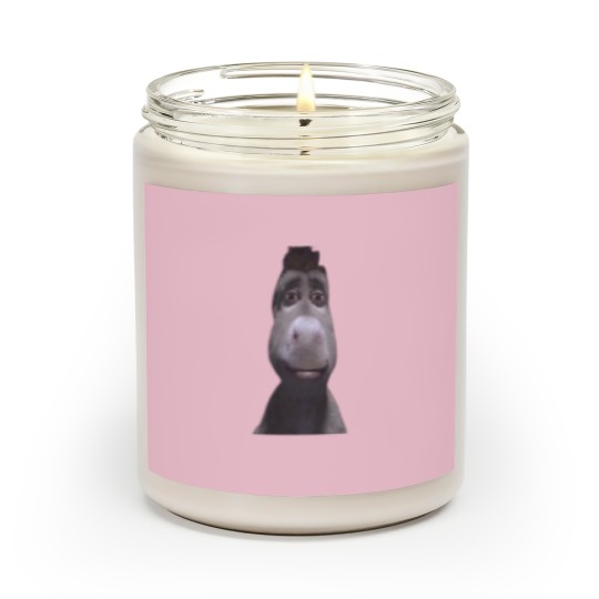 Discover Staring Donkey from shrek Scented Candles
