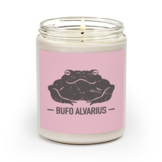 Discover Bufo Alvarius Colorado River Toad Scented Candles