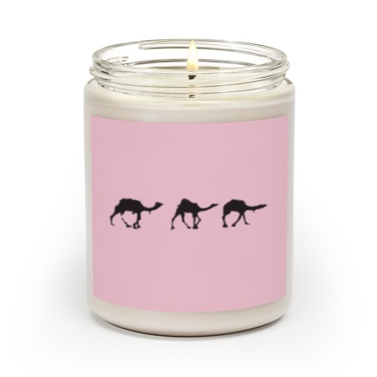 Discover Camels Scented Candles, Camels Scented Candles