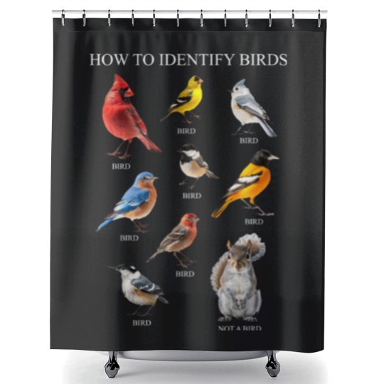 Discover Bird Shower Curtains, How to Identify Birds Shower Curtains