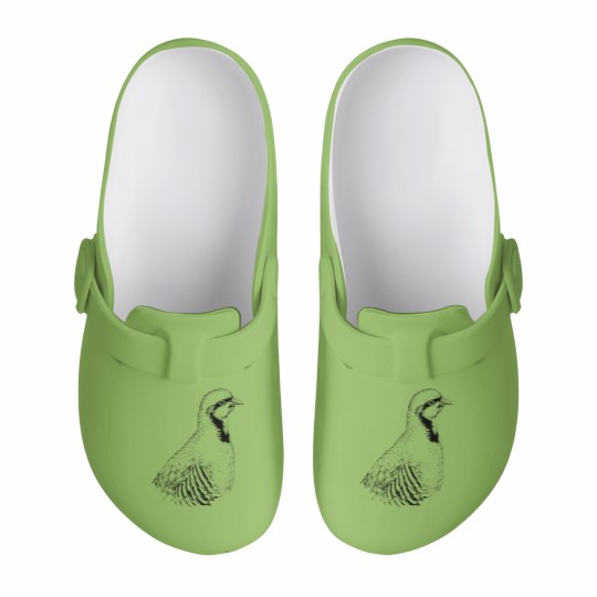 Discover Chukar partridge animal portrait (bright products) Slip On Clogs