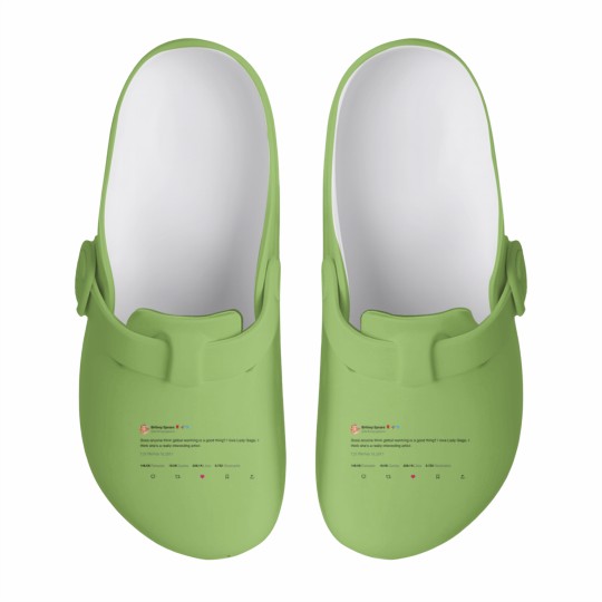 Discover Britney Spears Tweet Slip On Clogs, Paris Hilton Slip On Clogs, Funny Y2K Slip On Clogs
