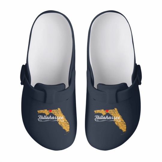 Discover City of Tallahassee Florida | Vacation Souvenir - Graphic Slip On Clogs