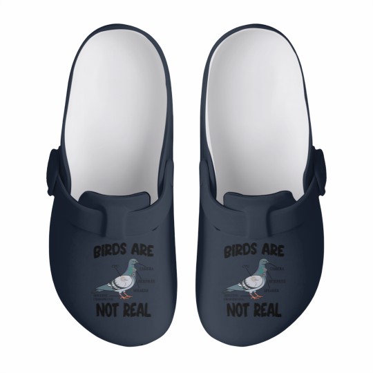 Discover Birds Are Not Real Bird Spies Conspiracy Theory Birds Slip On Clogs