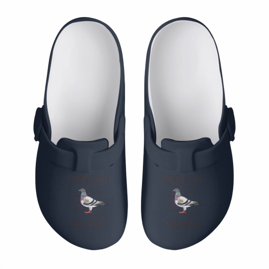 Discover Birds Are Not Real Slip On Clogs