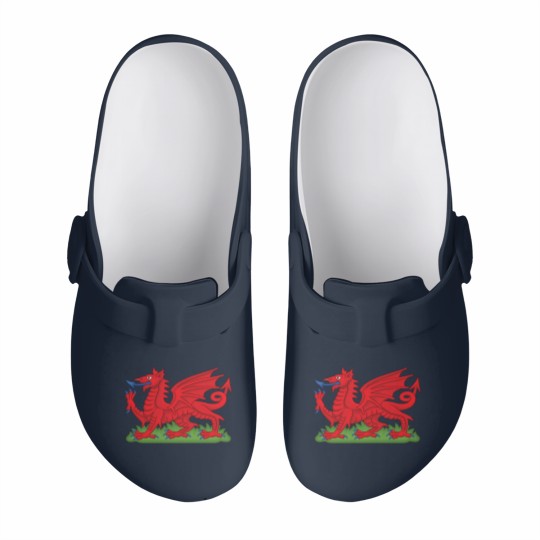 Discover Wales Red Dragon National Flag Symbol Slip On Clogs
