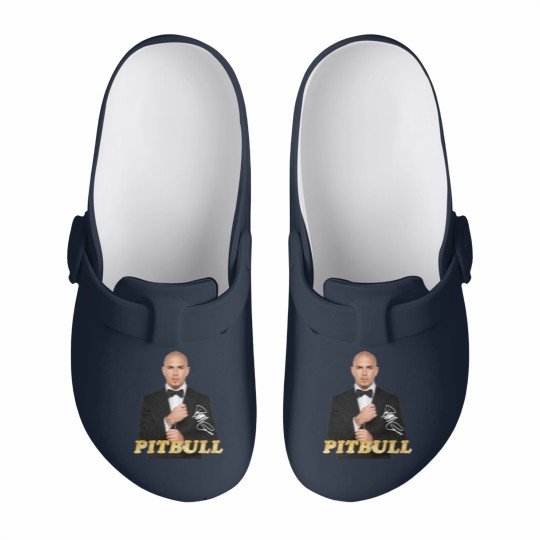 Discover Pitbull Rapper 2023 with Signature Slip On Clogs