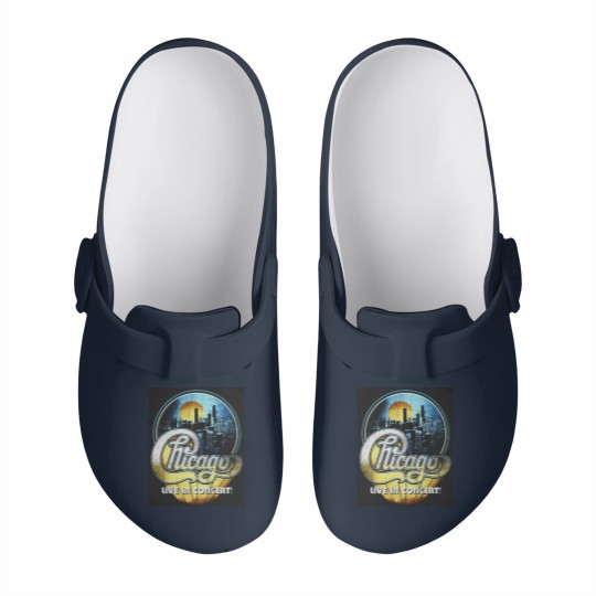 Discover Chicago band live in concert Slip On Clogs