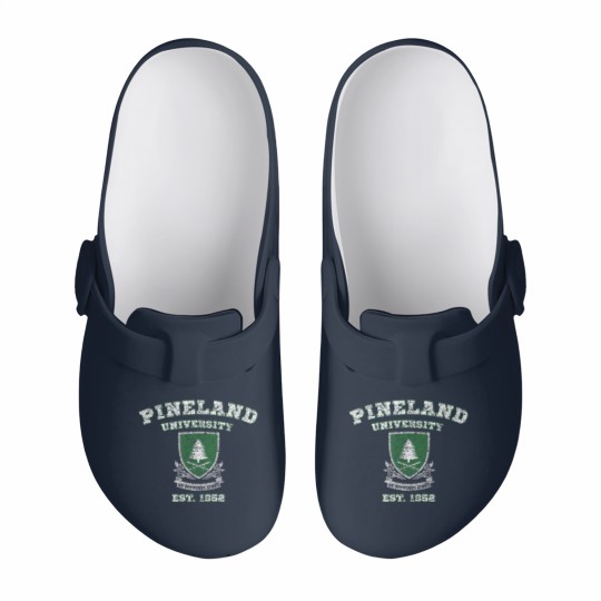 Discover Pineland University Vintage Graphic Slip On Clogs