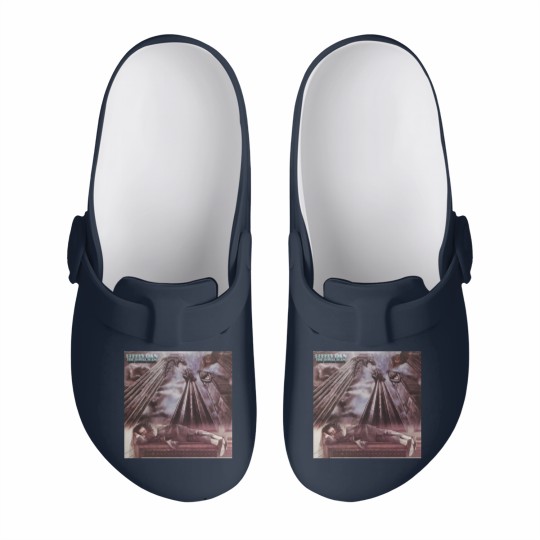 Discover Steely Dan - The Royal Scam / Unisex Cotton Slip On Clogs