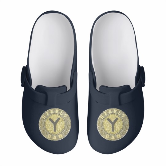 Discover Vintage Steely Dan Y2K Tour Slip On Clogs