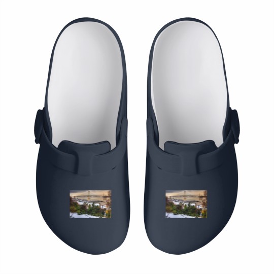 Discover Queensferry Harbour and Road Bridge Slip On Clogs