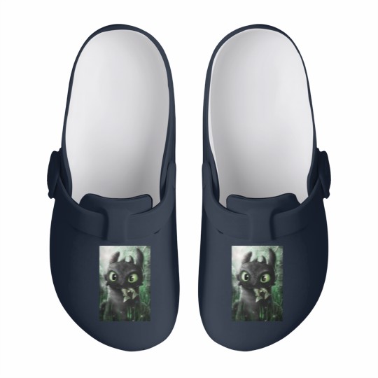 Discover How To Train Your Dragon, Toothless Gifts For Men & Women Slip On Clogs