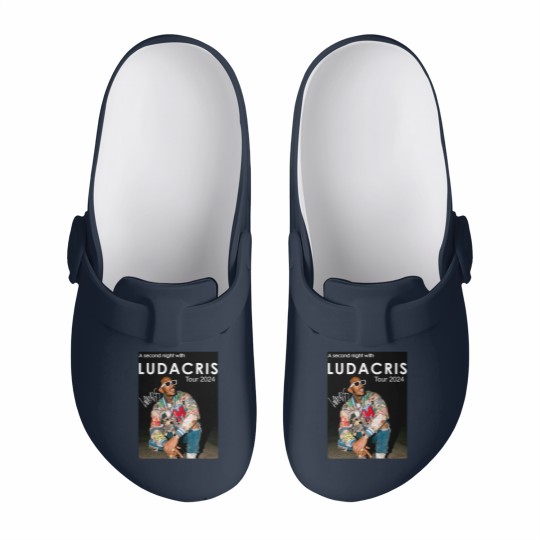 Discover Ludacris TOUR Second Night 2024 Gift For Fans Slip On Clogs