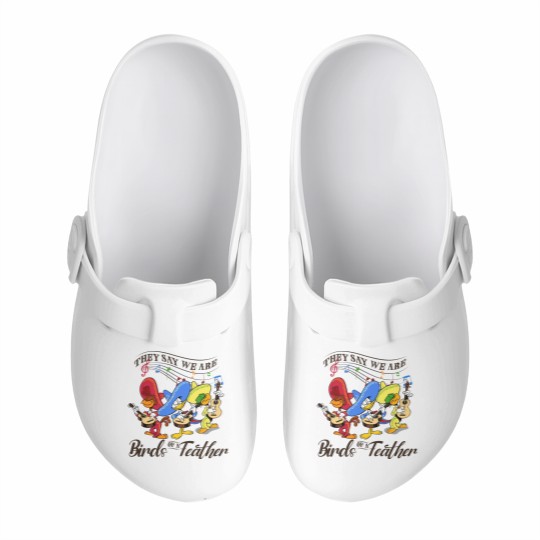 Discover The Three Caballeros Slip On Clogs