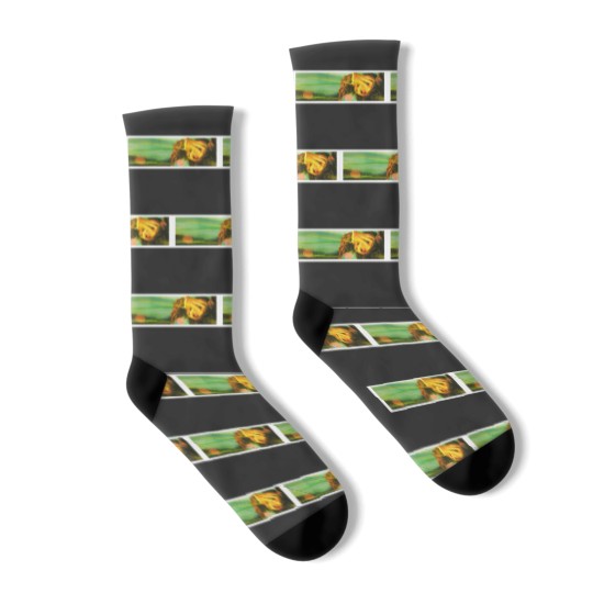 Discover Flaming lips Socks