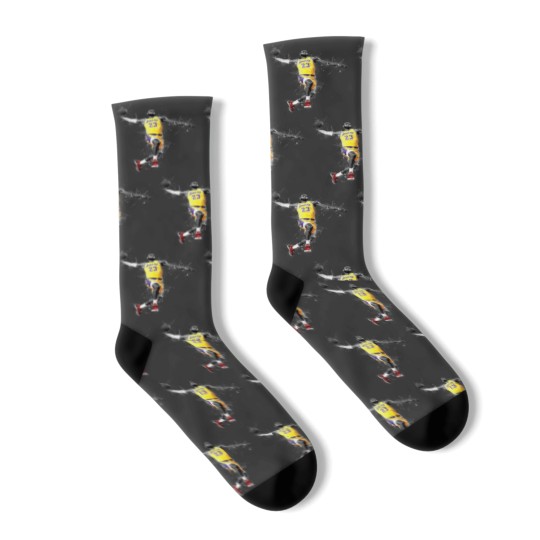 Discover Lebron James LeBron James Socks