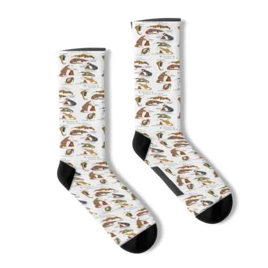 Discover Pangolins of the World Socks