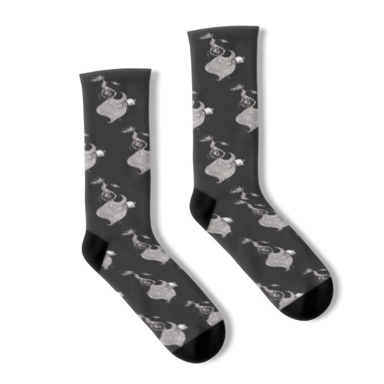 Discover Adventure awaits Socks