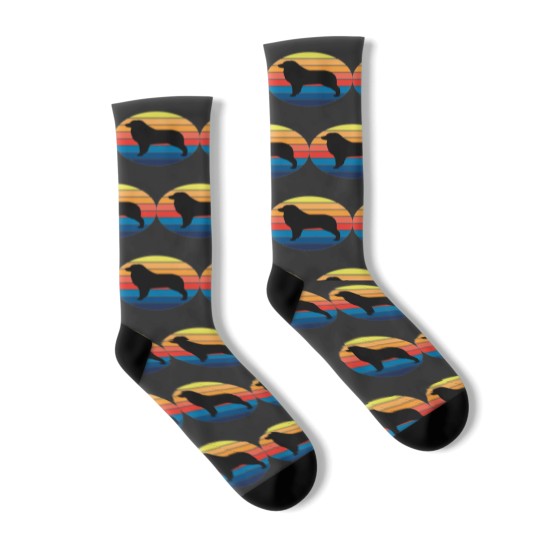 Discover Australian Shepherd Socks