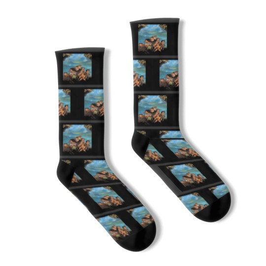 Discover The Croods A new age Socks