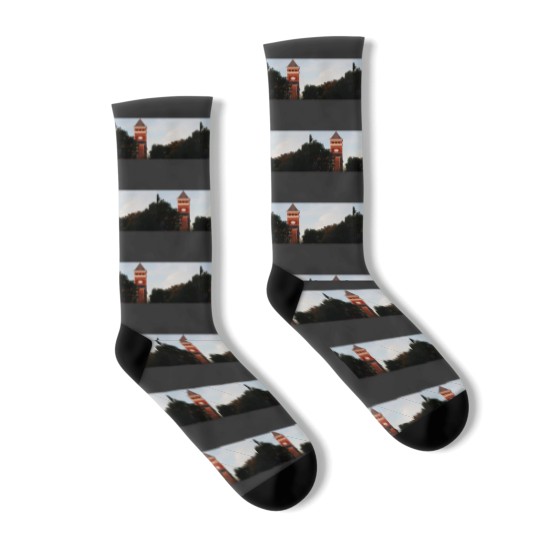 Discover Clemson Clock Tower Premium Scoop Socks