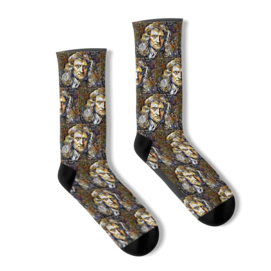 Discover Sir Isaac Newton Socks