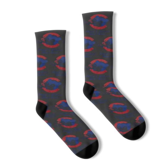 Discover Chicago  Socks Socks