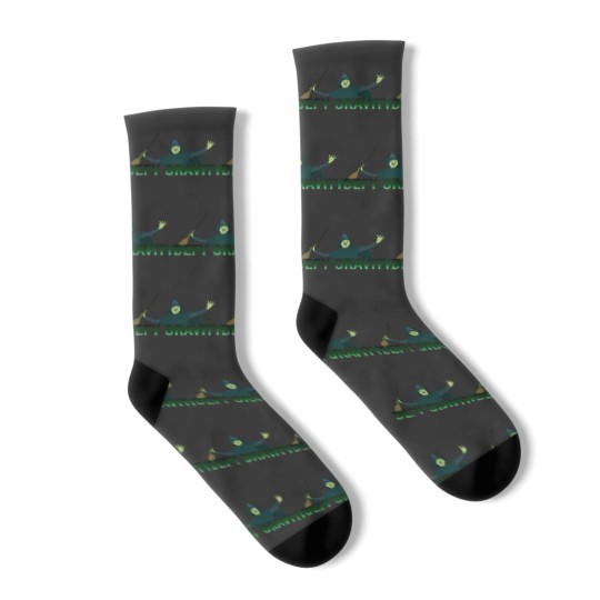 Discover Defy gravity Socks