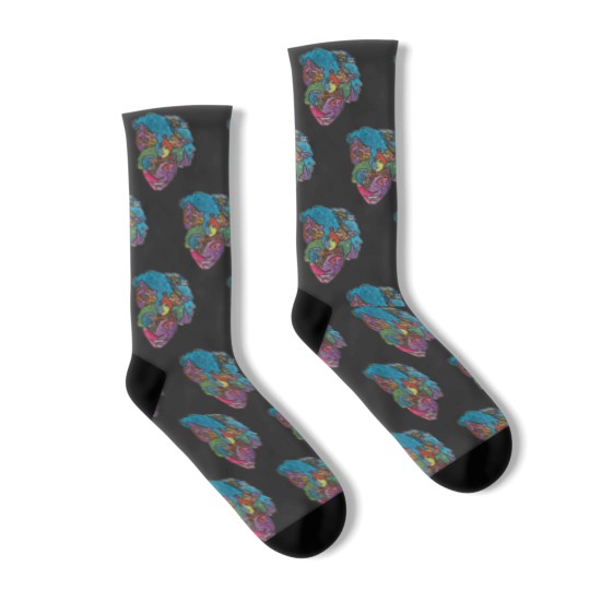Discover Love band - Forever Changes album Socks