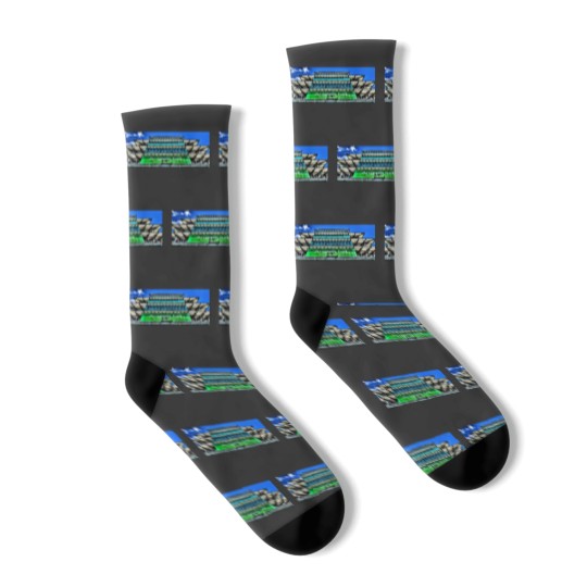 Discover Indy 500 PagodaActive Socks