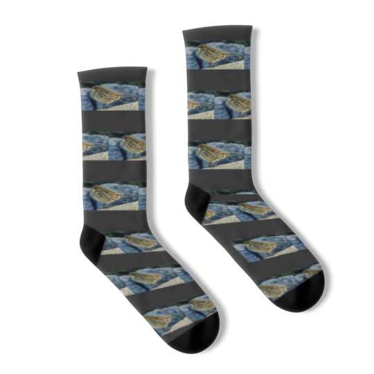 Discover The Finnmarken at Dusk in Tromso Socks
